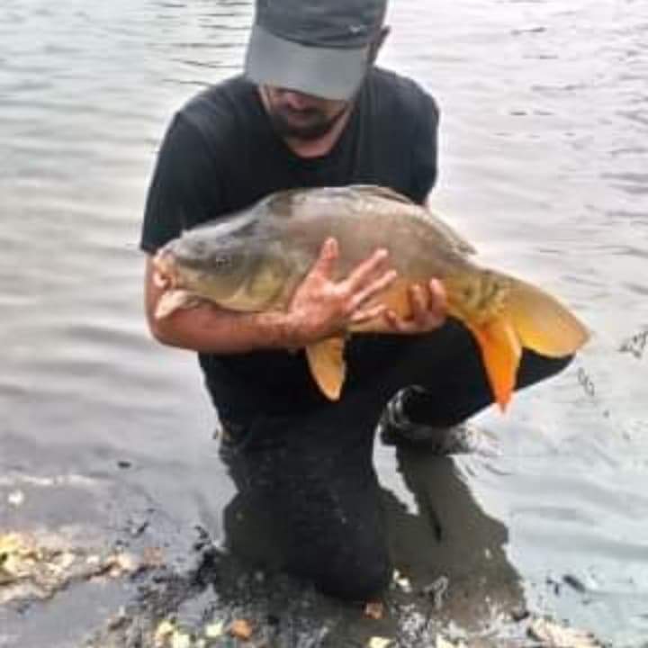 Profil de Zadig
